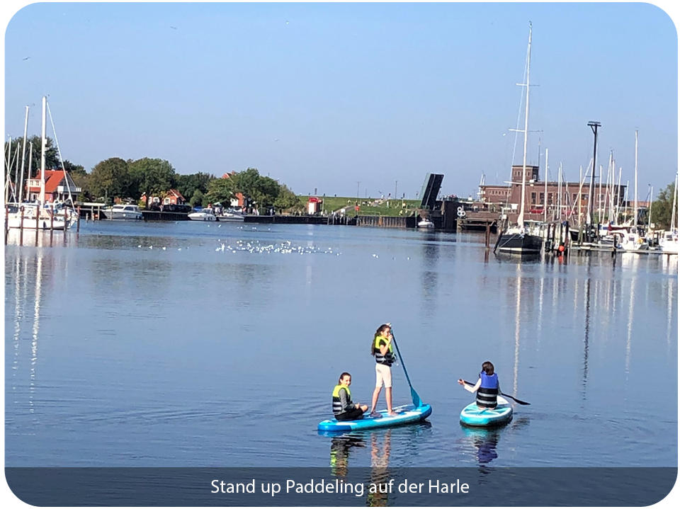 Stand-Up-Paddeling auf der Harle