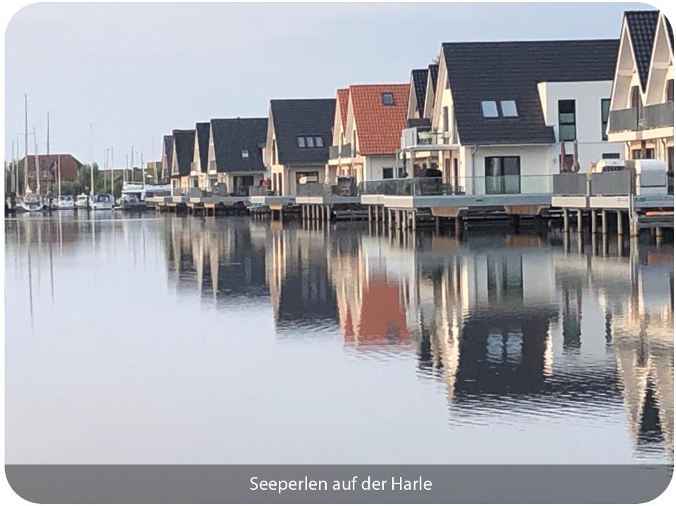 Seeperlen auf der Harle